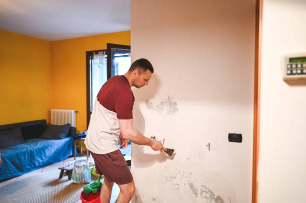 Best Commercial Mold Remediation in Kenilworth, NJ